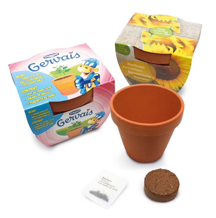 Terracotta pot maxi, Zonnebloem