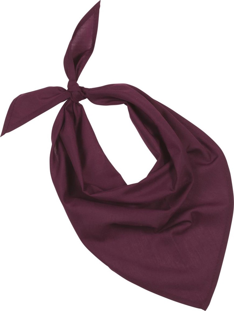 Fiesta - Bandana - Wine