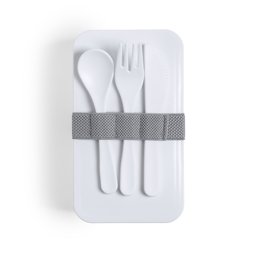 Antibacterieel Lunch Box Fandex