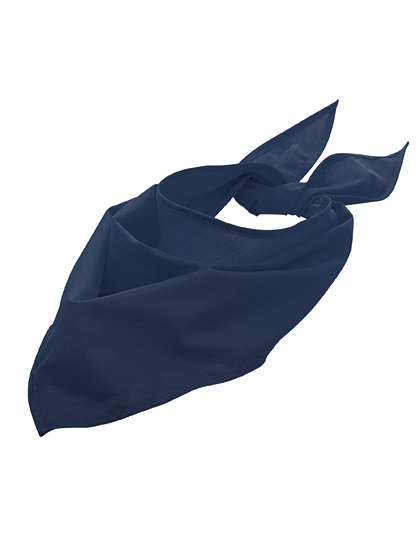 Bandana - French Navy
