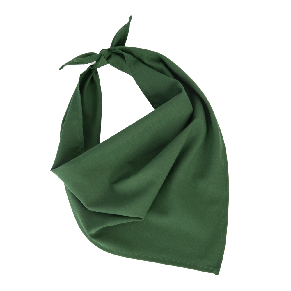 KP064 - Fiesta - Bandana - Pasture Green