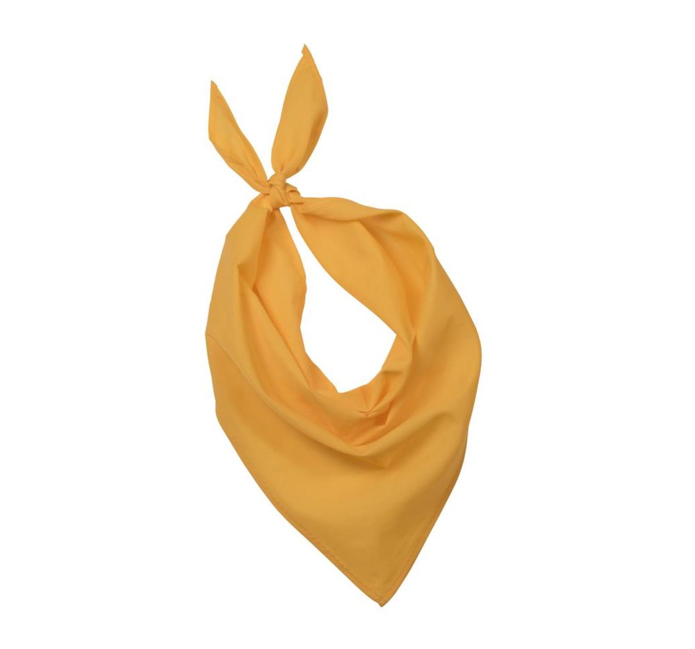 Fiesta - Bandana - yellow