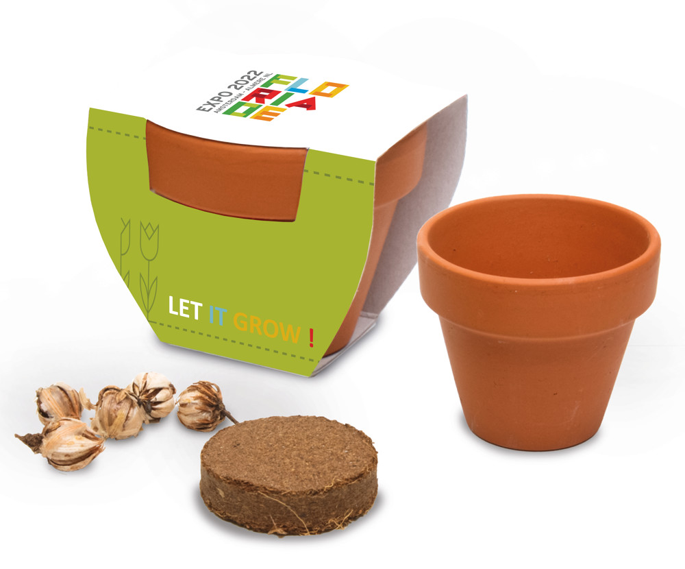 Terracotta pot standaard, Zonnebloem