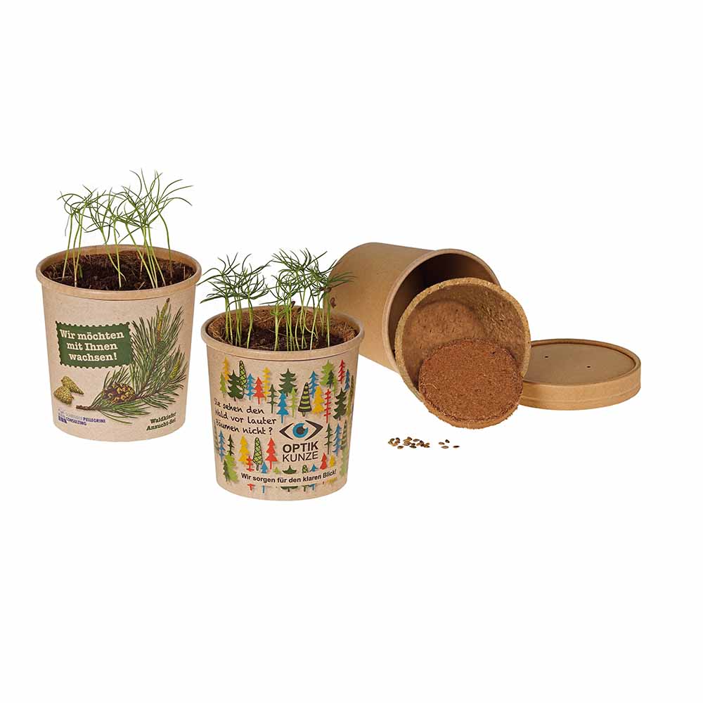 Beker-en-balspel - zaadset - individueel