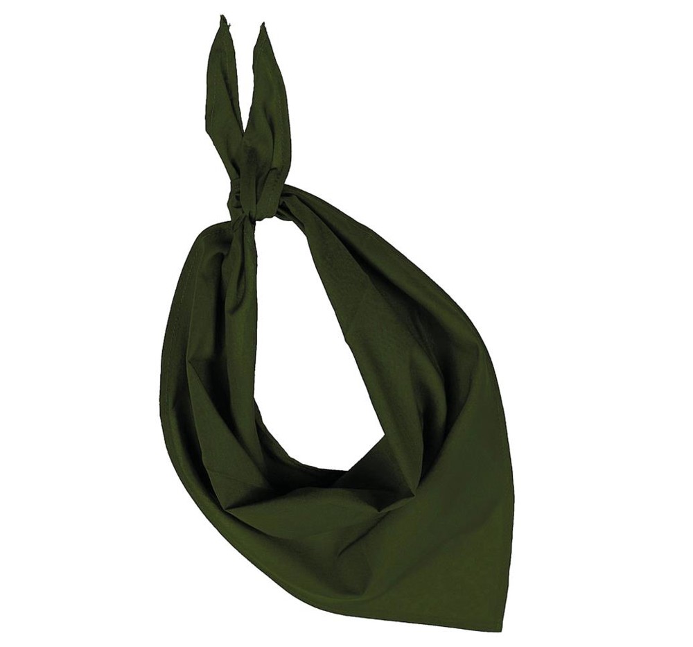 Fiesta - Bandana - Olive