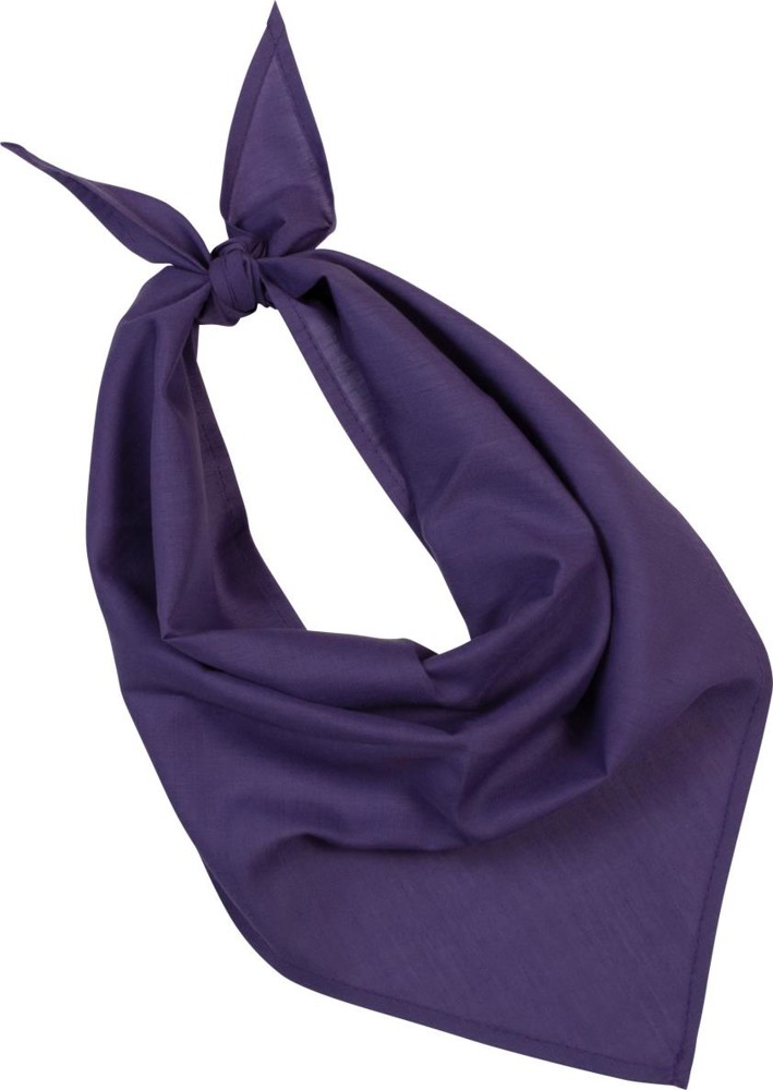 Fiesta - Bandana - purple