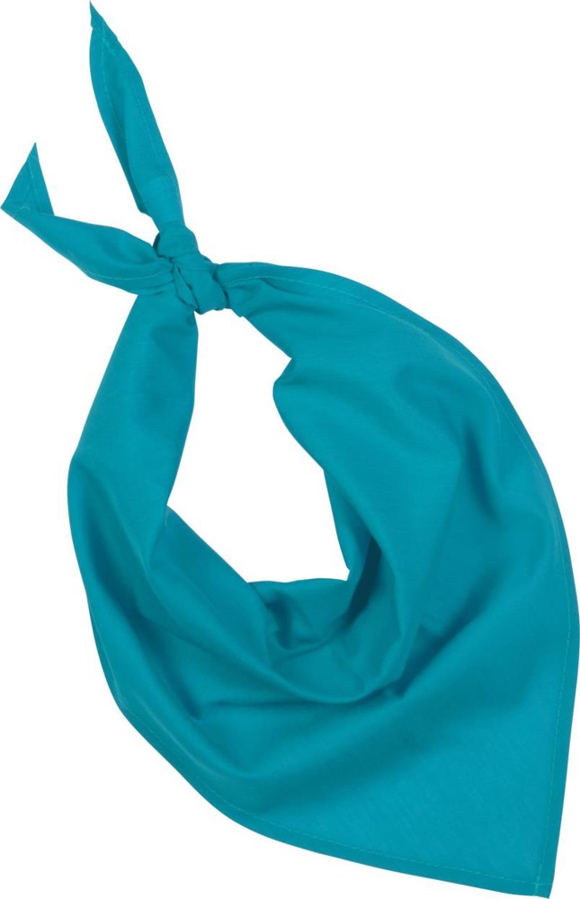 Fiesta - Bandana - Turquoise